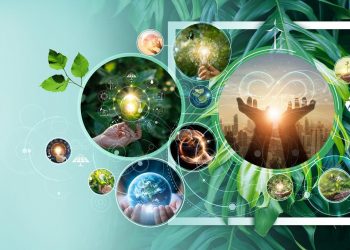 3 Simple Ways to Connect with Nature for Inner Peace