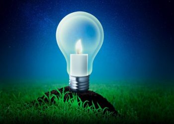 The Spectrum of Growth: Exploring Pink and Blue LED Grow Lights