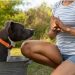 Solar Eclipse With Pets: Safety Concerns & Health Issues.
