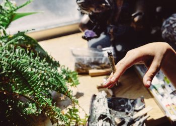 Unlock the Power of THCa: A Comprehensive Guide to THCa Products