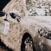 How to Choose the Right Location for Your Car Wash Franchise
