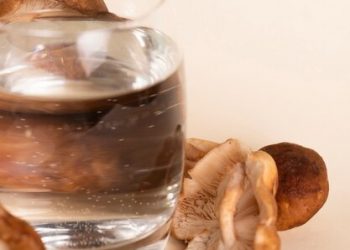 Exploring Mushroom Gummies for Anxiety Relief