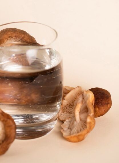 Exploring Mushroom Gummies for Anxiety Relief