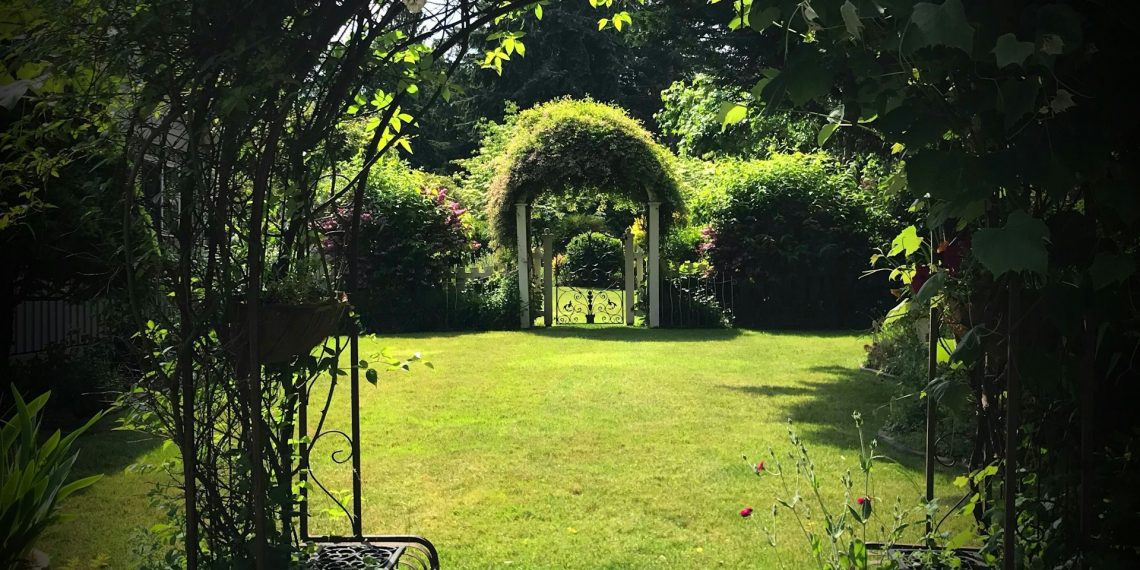 Transform Your Home’s Curb Appeal with Expert Landscaping Ideas