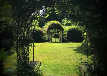 Transform Your Home’s Curb Appeal with Expert Landscaping Ideas